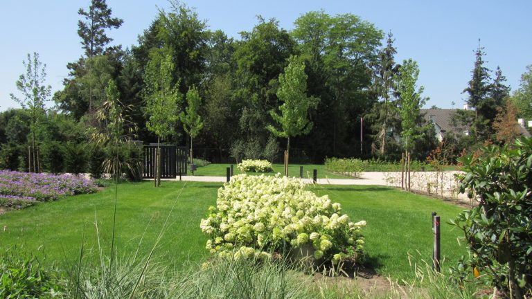 villatuin bloemen