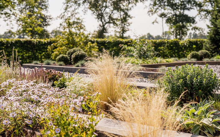 landelijke tuin siergrassen en planten