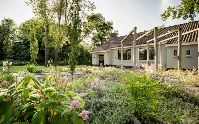 Landelijke tuin gazon met bomen en planten