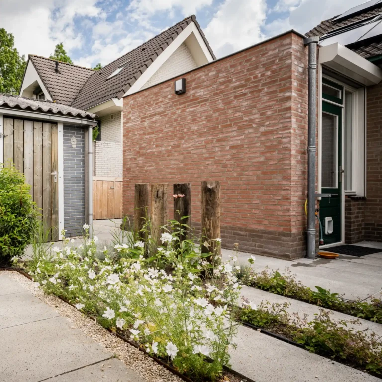 Natuurlijke zijtuin met bestrating