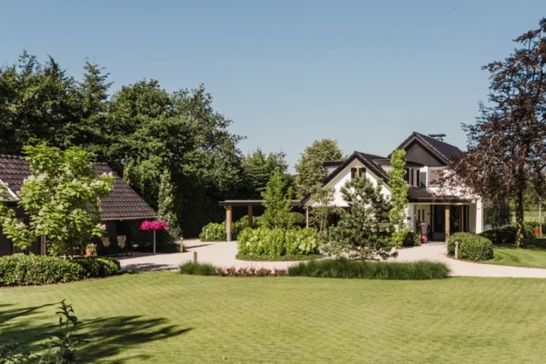 Landelijke tuin in het bos