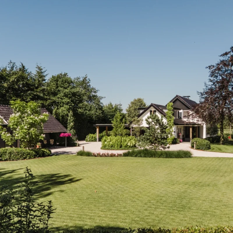 Landelijke tuin in het bos