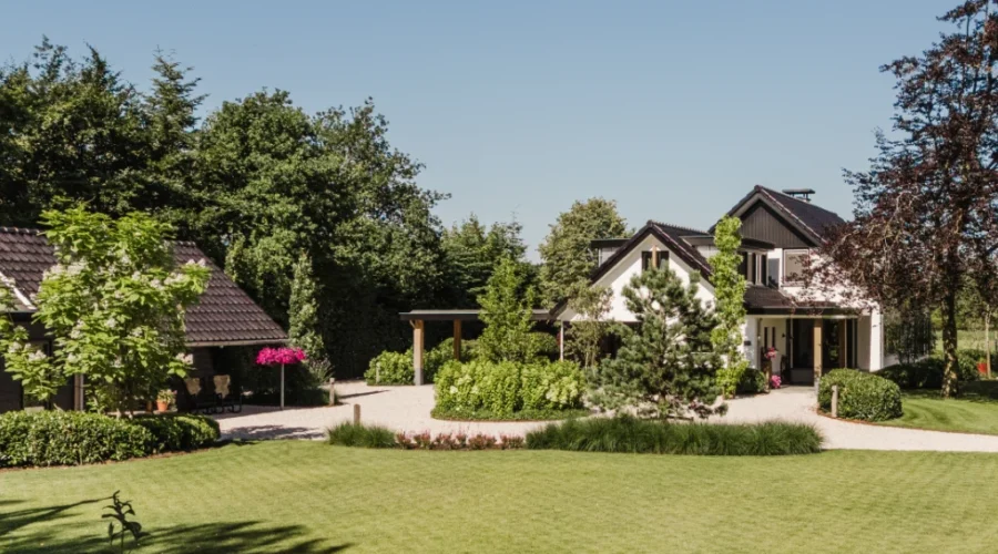 Landelijke tuin in het bos