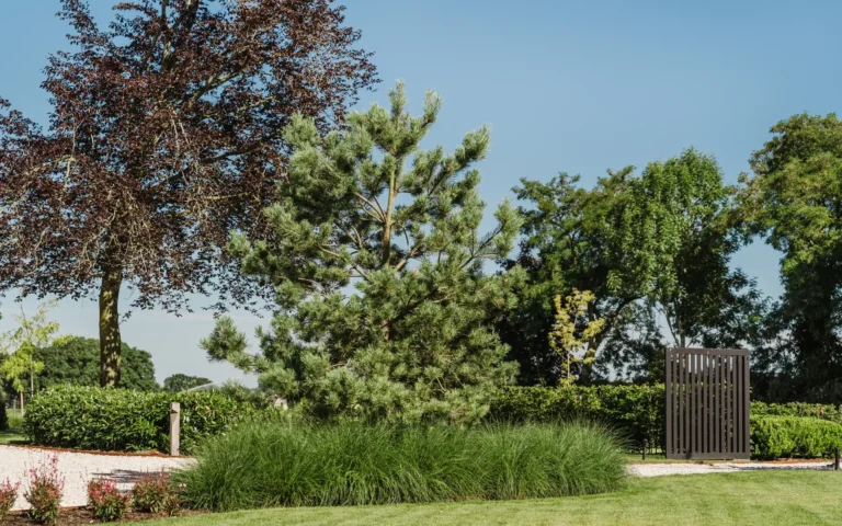 Landelijke tuin oprit met beplanting en bomen